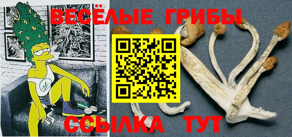 купить  сайты  Галлюциногенные грибы Psilocybe  Серов  Вход с VPN  Псилоцибиновые грибы мухоморы 